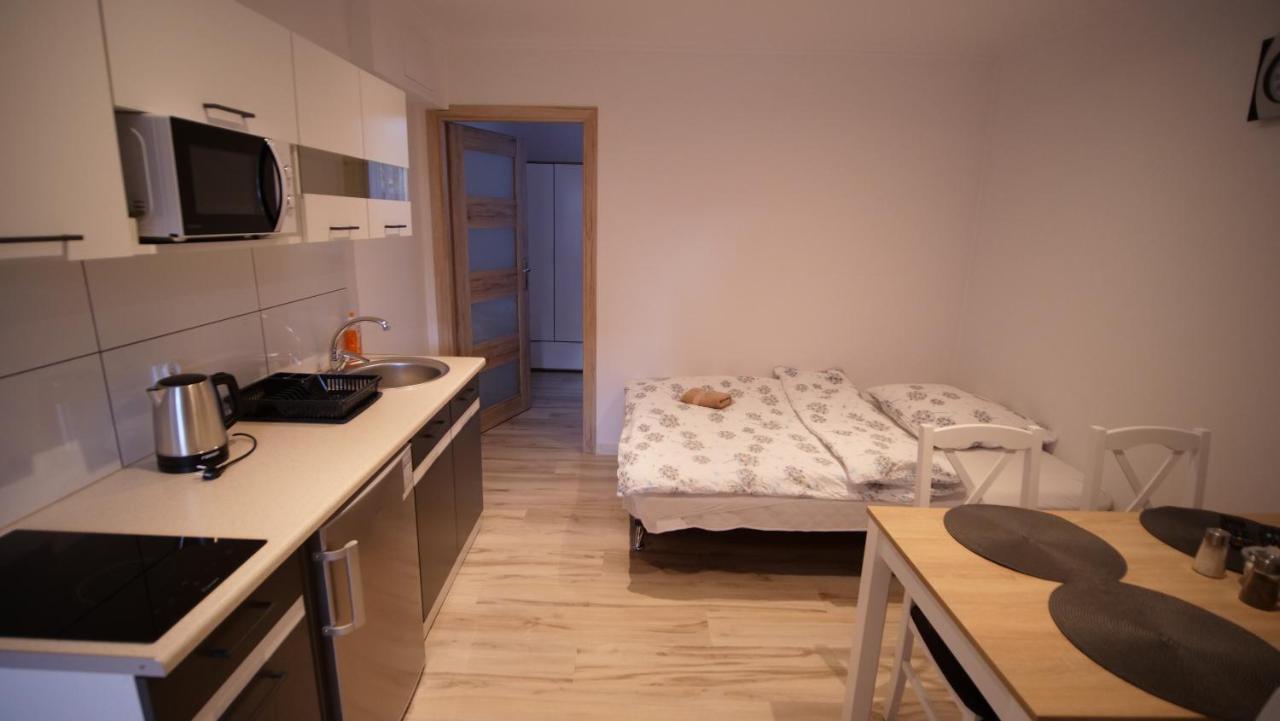 U Jedrusia Apartman Zubrzyca Gorna Kültér fotó
