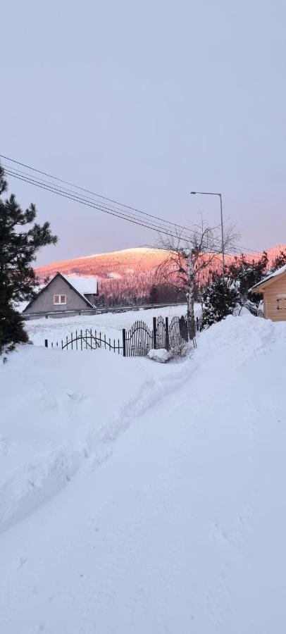 U Jedrusia Apartman Zubrzyca Gorna Kültér fotó